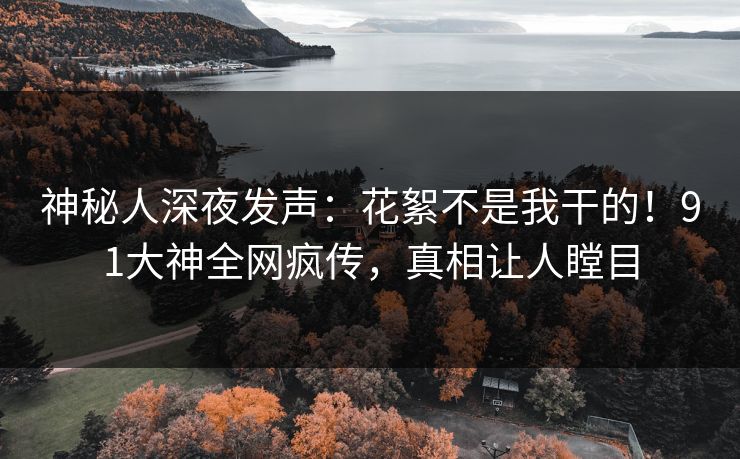 神秘人深夜发声：花絮不是我干的！91大神全网疯传，真相让人瞠目